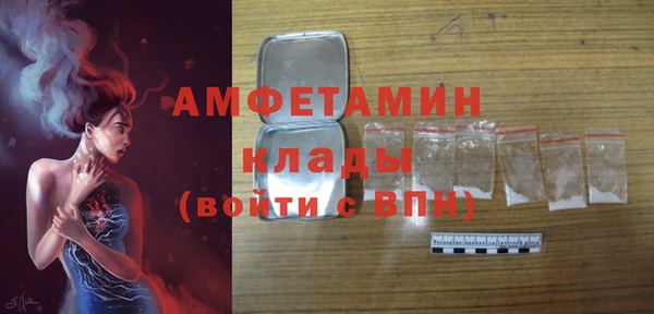гидра Верхний Тагил