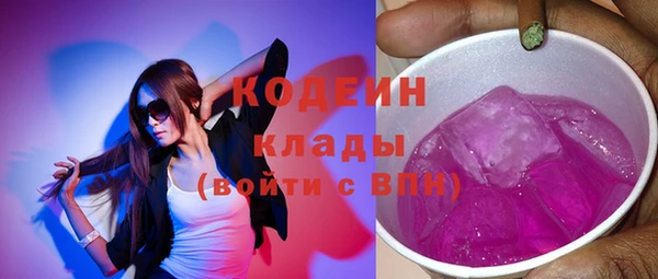 гидра Верхний Тагил