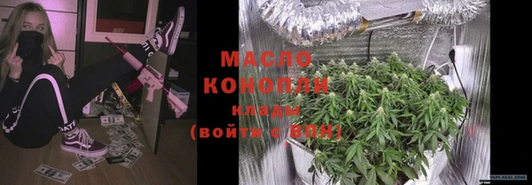 гидра Верхний Тагил