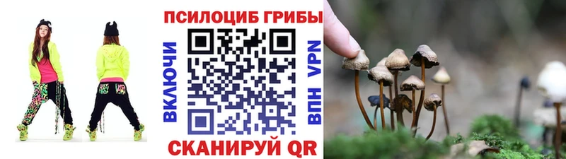 продажа наркотиков  Касли  гидра ссылка  Галлюциногенные грибы Psilocybine cubensis 